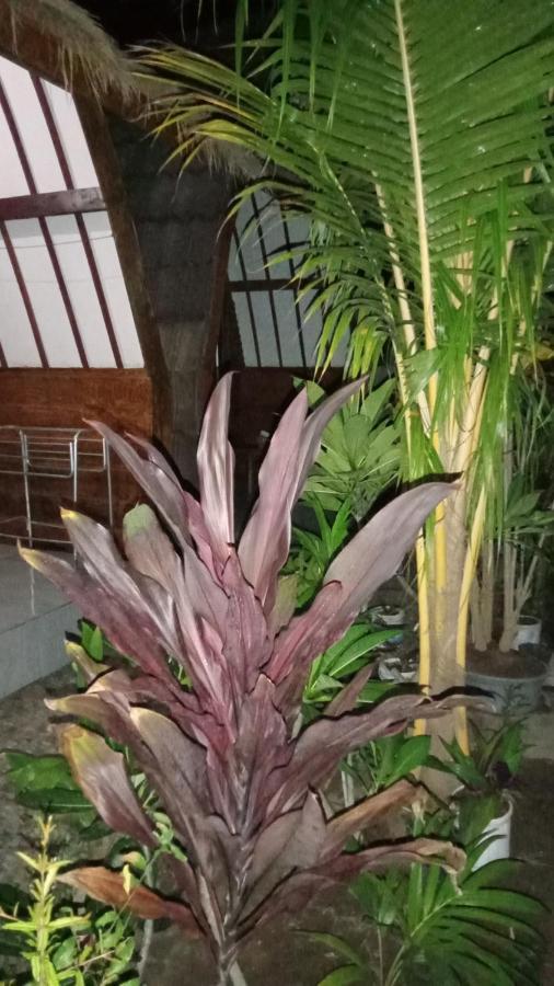 Mirna Homestay 길리 아이르 외부 사진